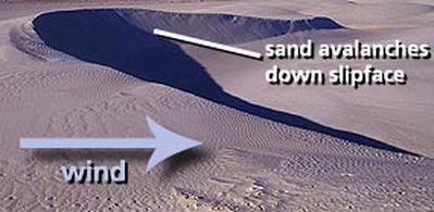 transverse dunes